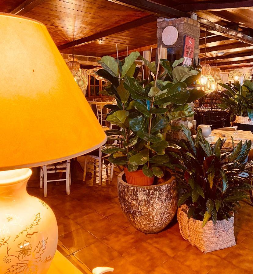 Bed & Breakfast Agrisesto Fregenae